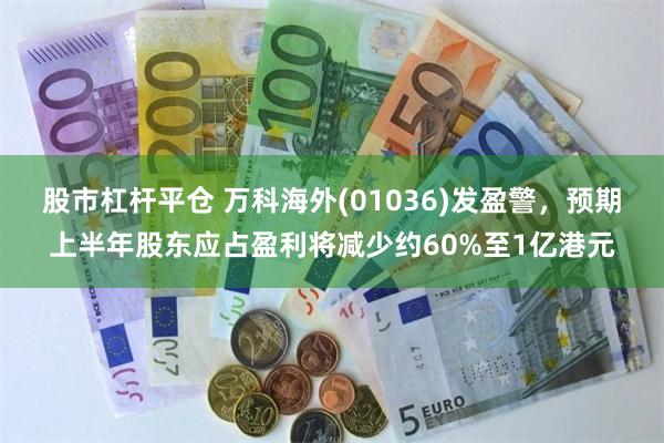 股市杠杆平仓 万科海外(01036)发盈警，预期上半年股东应占盈利将减少约60%至1亿港元