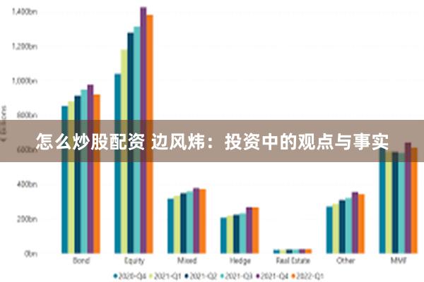 怎么炒股配资 边风炜：投资中的观点与事实